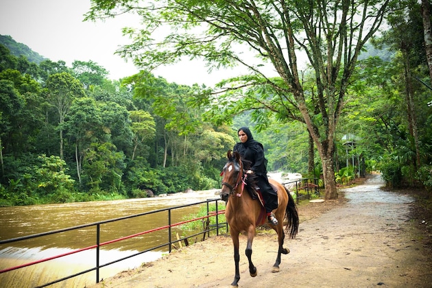 Gallery - Blanket Riverside Resort & Spa | Luxury Resorts In Munnar Kerala