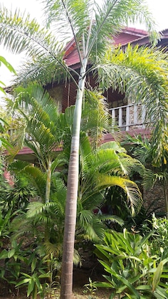 Gallery - Tara Lodge