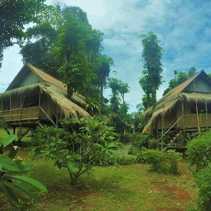 Gallery - Bamboo Hideaway Resort