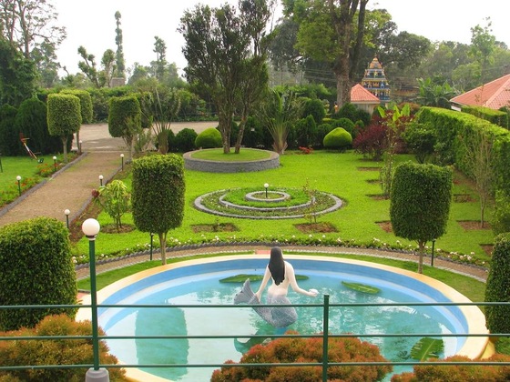 Gallery - Holiday Heaven Munnar