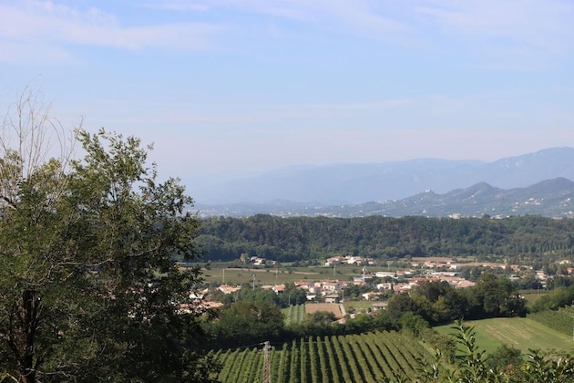 Gallery - Albergo Alla Pineta