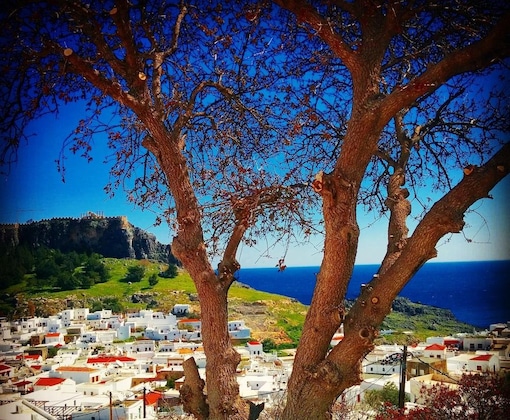 Gallery - Little Lindos Sea View Studios