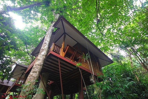 Gallery - Baan Khao Sok Resort