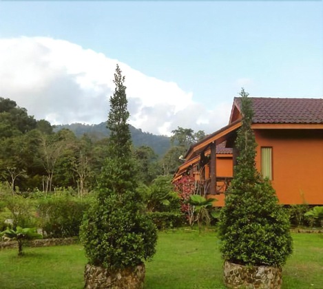Gallery - Khaosok Rainforest Resort