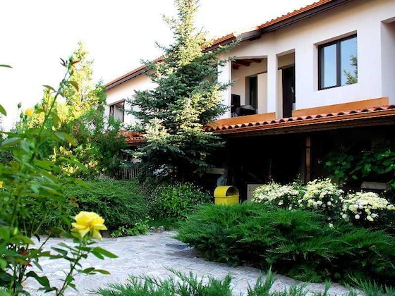Gallery - Piry