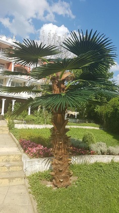 Gallery - Elit Hotel Balchik
