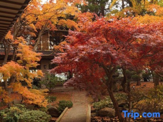 Gallery - Yumoto Takubokutei