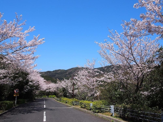 Gallery - Grand Mercure Awaji Island Resort & Spa