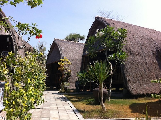 Gallery - Dream Beach Huts