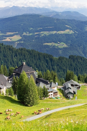 Gallery - Robinson Schlanitzen Alm
