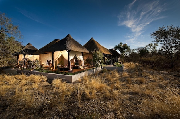 Gallery - Mokuti Etosha