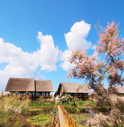Gallery - Green Village Resort