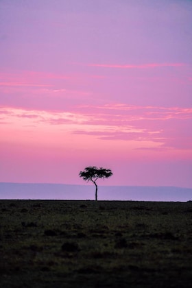 Gallery - Olare Mara Kempinski Masai Mara