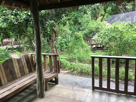 Gallery - Bohol Bee Farm