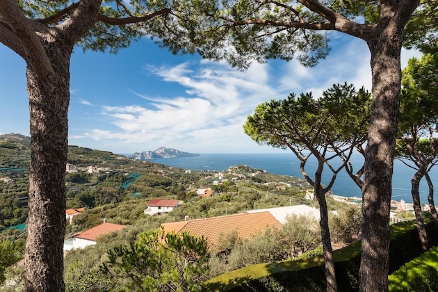 Gallery - Villa Sole Di Capri
