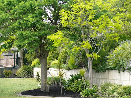 Gallery - Quality Apartments Banksia Gardens.