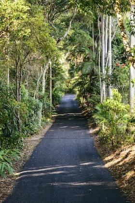 Gallery - Pethers Rainforest Retreat