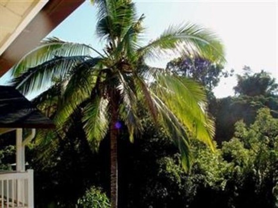 Gallery - Bamboo Valley Inn