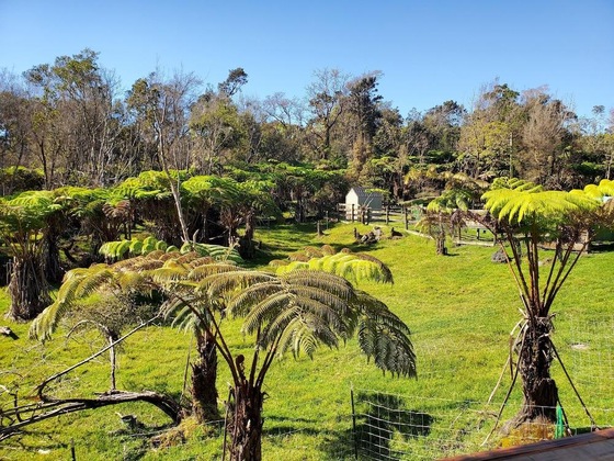 Gallery - Volcano Acres Ranch B&B