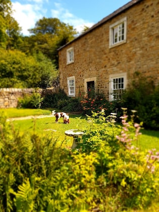 Gallery - Burnhopeside Hall
