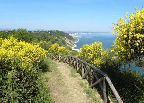 Gallery - Hotel Capo Est