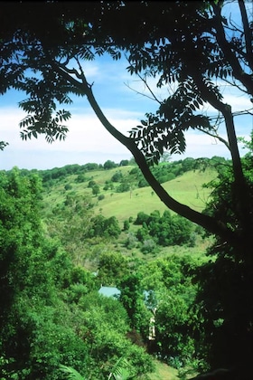Gallery - The Falls Rainforest Cottages
