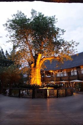 Gallery - Cresta Mowana Safari Resort & Spa