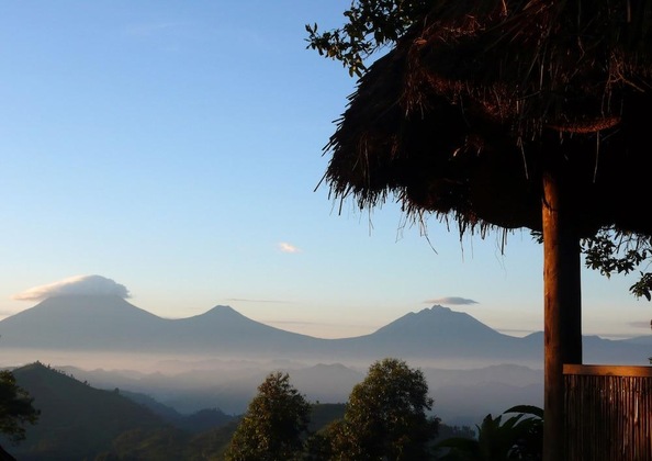 Gallery - Nkuringo Bwindi Gorilla Lodge