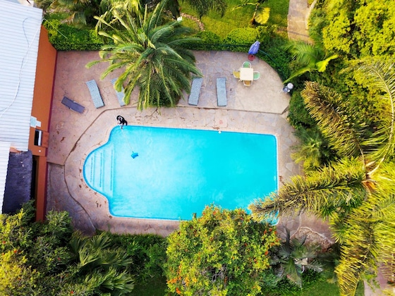 Gallery - Palmwood Lodge