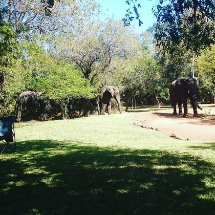Gallery - The Royal Sichango Village