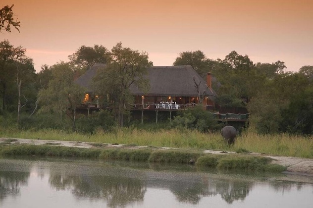 Gallery - Simbambili Game Lodge