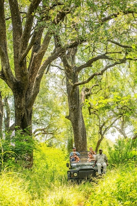 Gallery - Chisomo Safari Camp