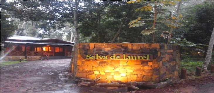 Gallery - Selva De Laurel