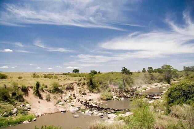 Gallery - Mara Intrepids Tented Camp