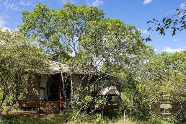 Gallery - Mara Bush Camp - Private Wing