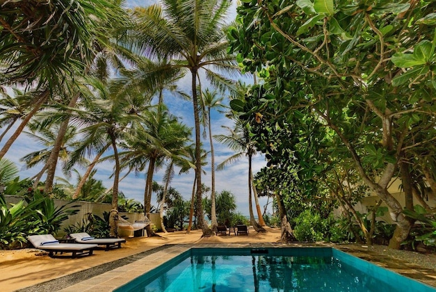 Gallery - Taru Villas - 906 - Hikkaduwa