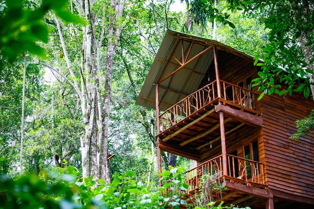 Gallery - Ella Eco Lodge