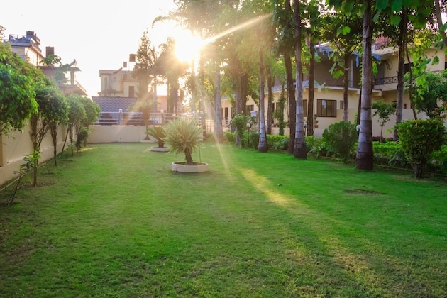 Gallery - Hotel Rainforest