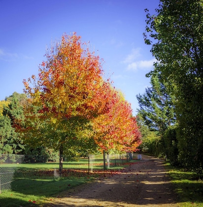 Gallery - Bright Mystic Valley