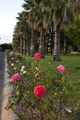 Gallery - Parklands Resort