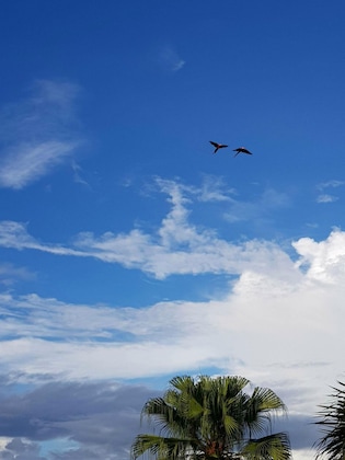Gallery - Hotel Ocean Breeze