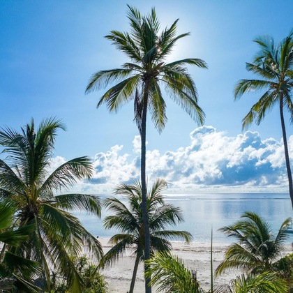 Gallery - Zoi Boutique Hotel Zanzibar Ex Sunshine Hotel