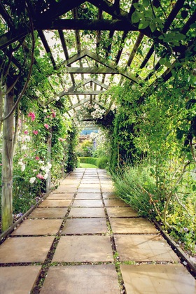 Gallery - Marchmont Gardens