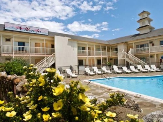 Gallery - A Wave Inn