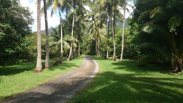 Gallery - Cape Trib Farmstay