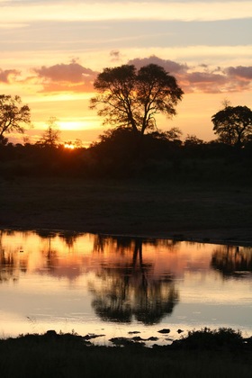 Gallery - Rhino Walking Safaris