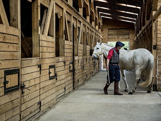 Gallery - explora Patagonia - All Inclusive