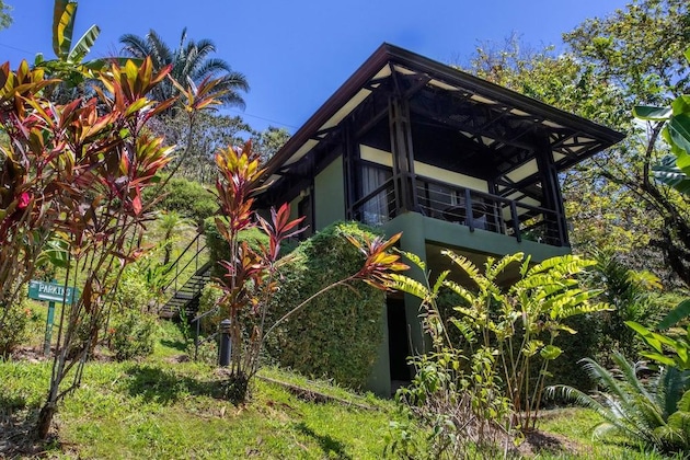 Gallery - Tiki Villas Rainforest Lodge & Spa
