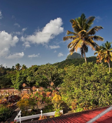 Gallery - La Dauphine Estate