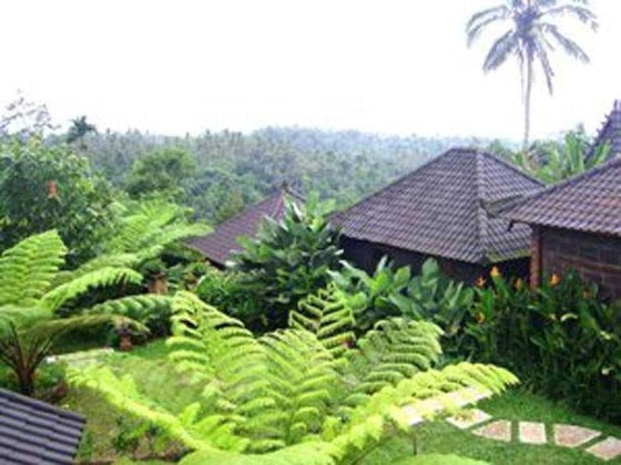 Gallery - Bali Mountain Retreat